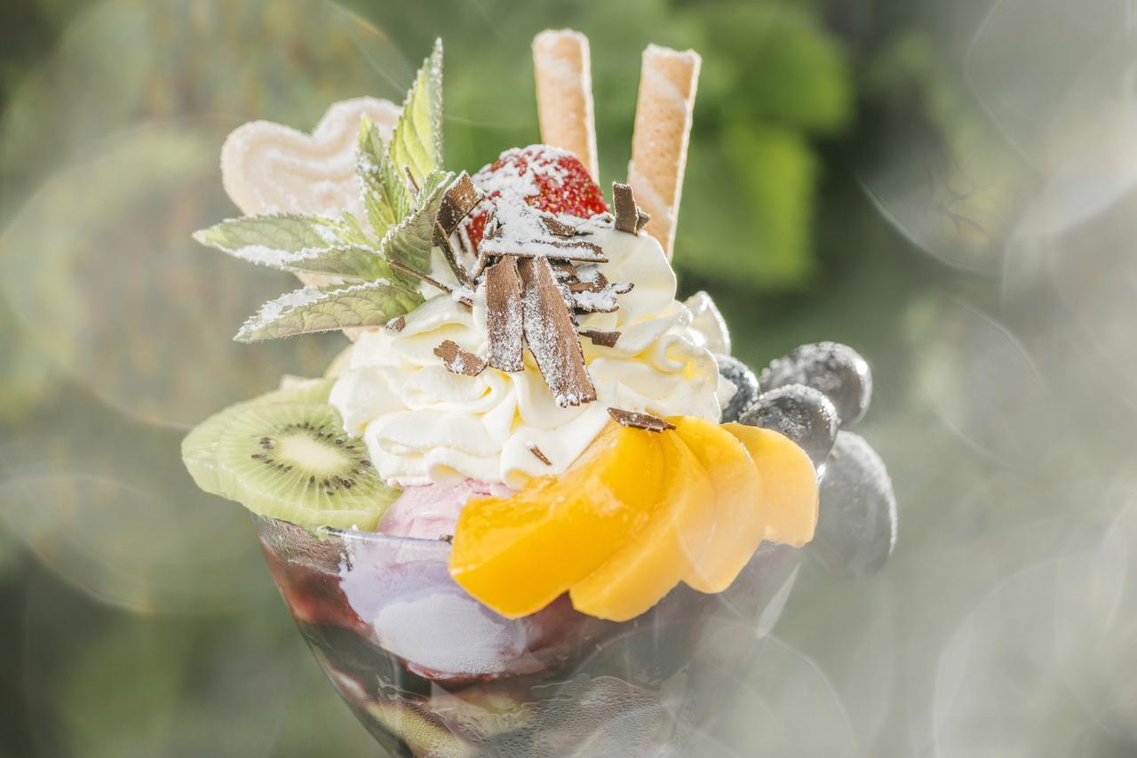 Hotel Alpenhof Kristall マイヤーホーフェン エクステリア 写真